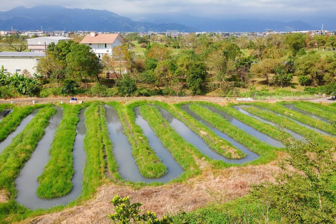 Fish House 宜蘭獨棟別墅 戲水池 生態diy 安農溪自行車 Appartement Dongshan  Buitenkant foto